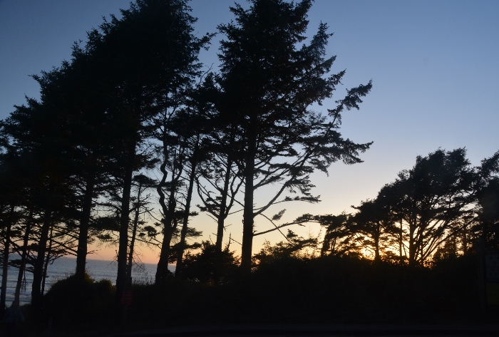 Hiway 101 viewpoint